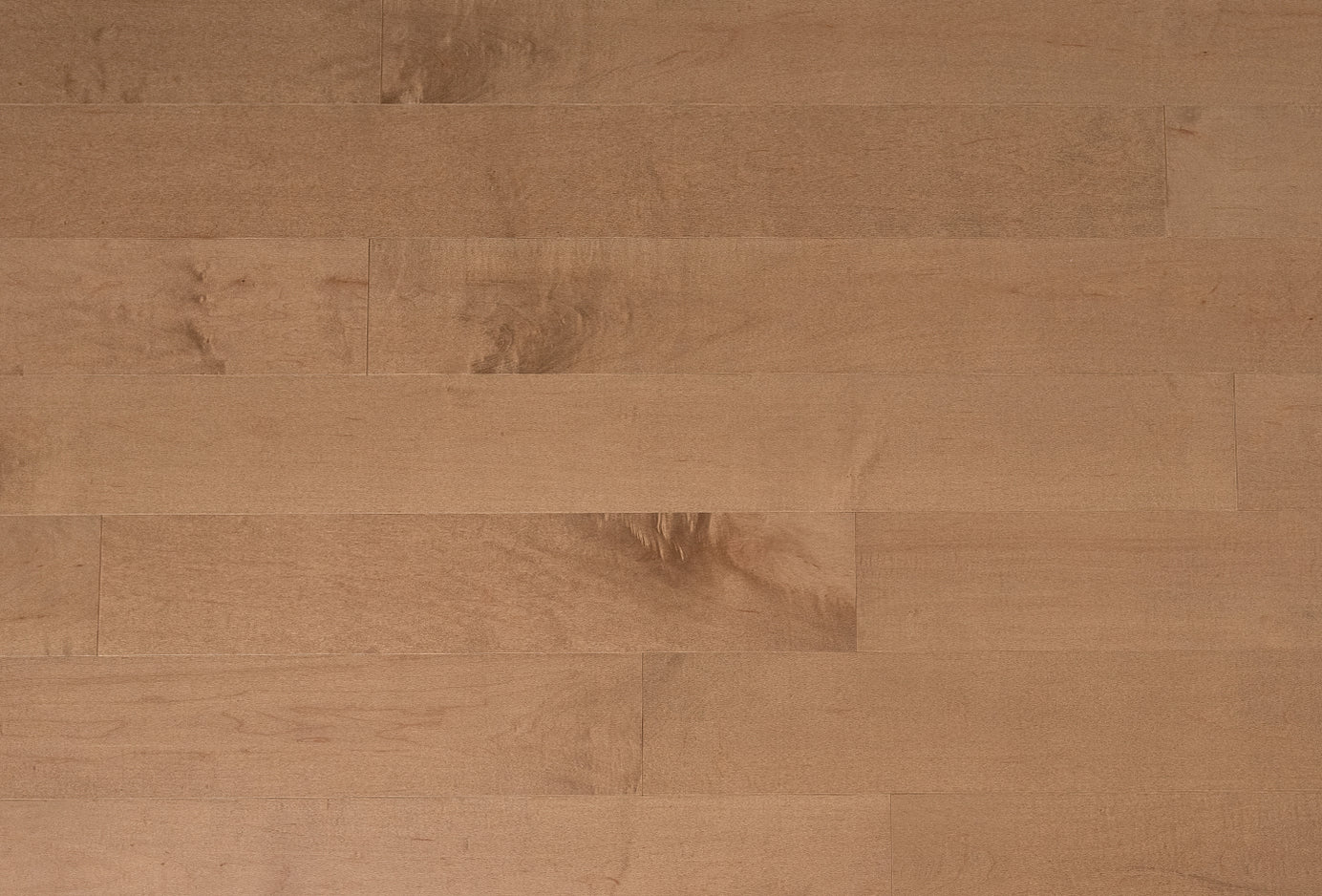 Maple Hardwood Flooring