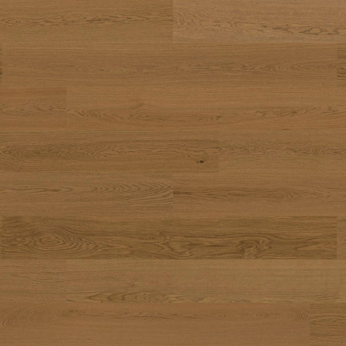 Maverick Oak