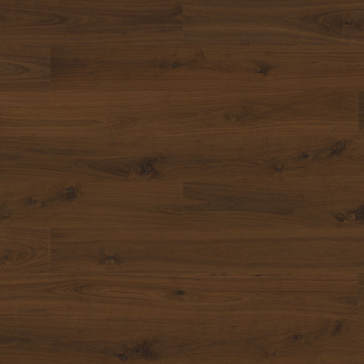 Maverick Plain Sawn Walnut