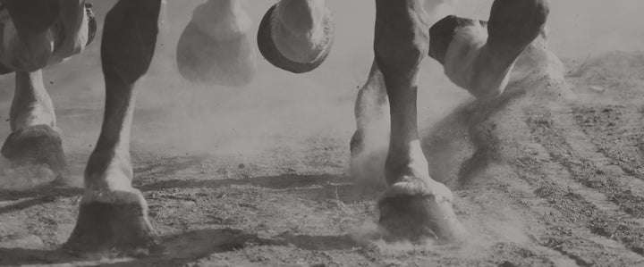 Performance. Style.Strength.